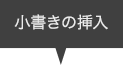 小書きの挿入