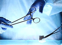 本の解体ショー